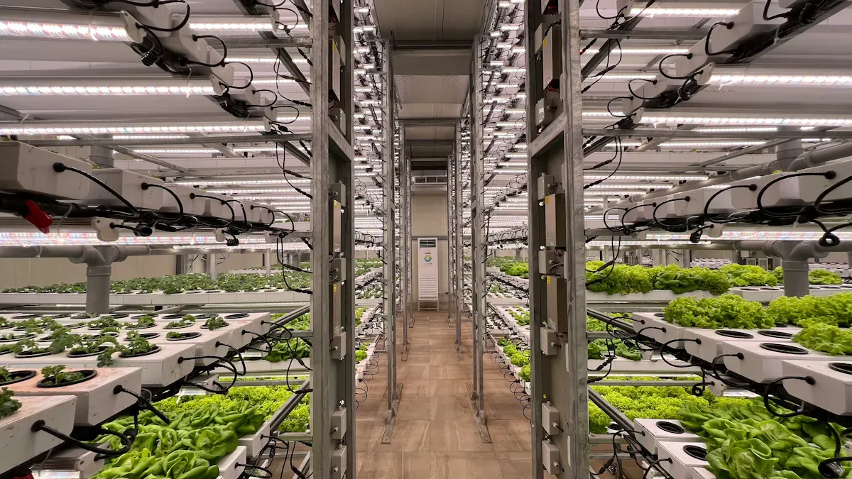 Aeroponic Systems vs Traditional Hydroponics: Which Delivers Faster Growth?