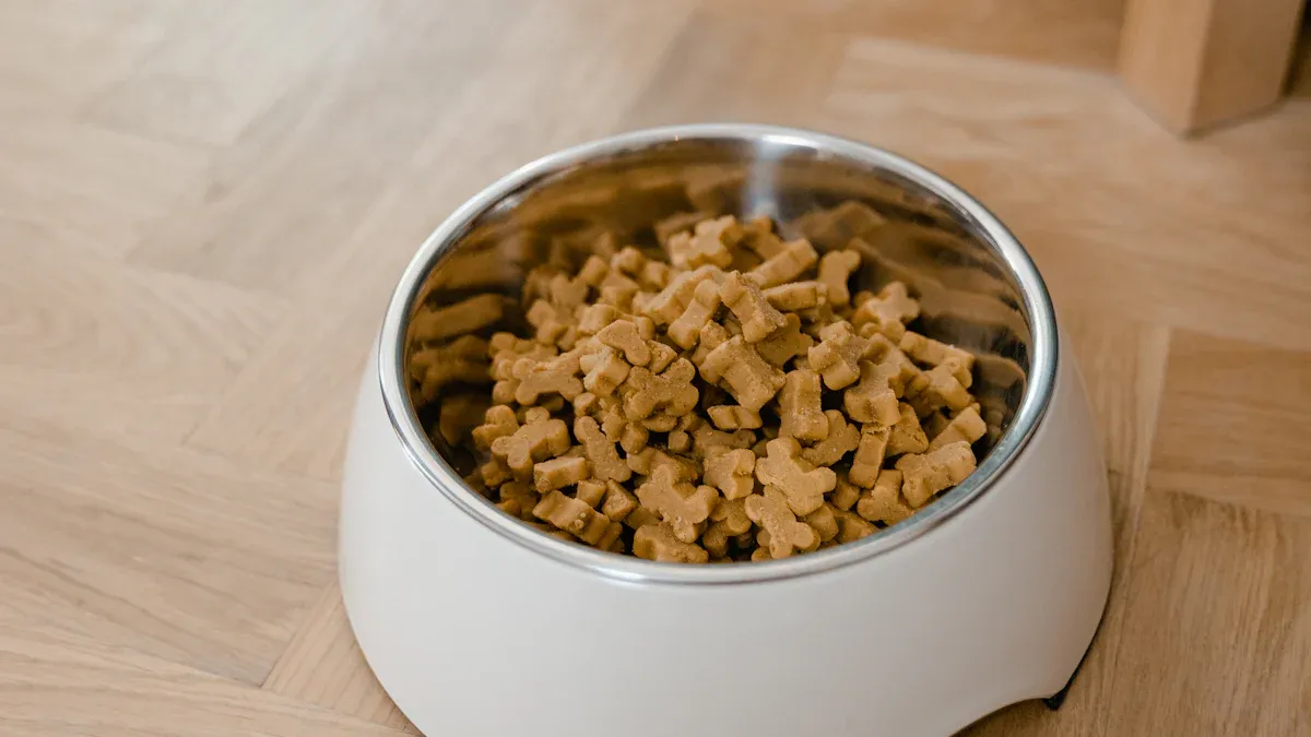 Preventative Measures for Pet Feeders