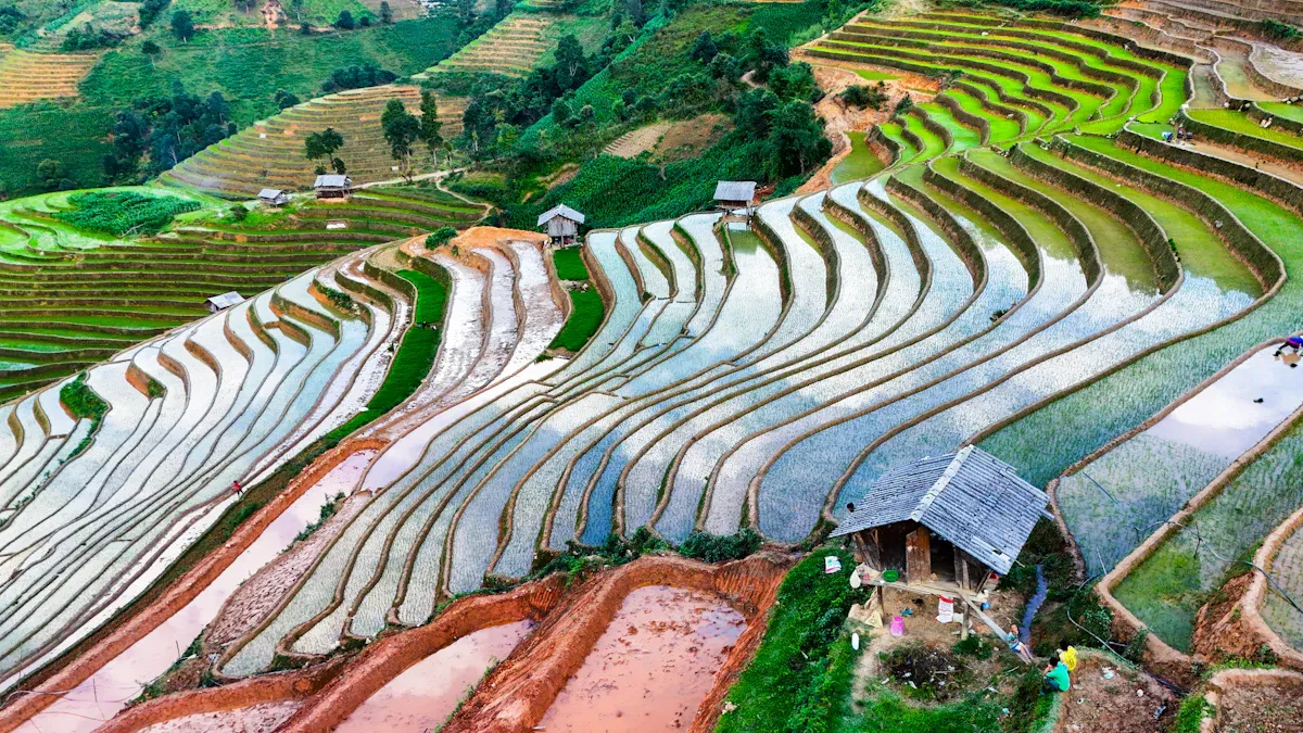 Efficacité de l'eau et impact environnemental des arroseurs de jardin