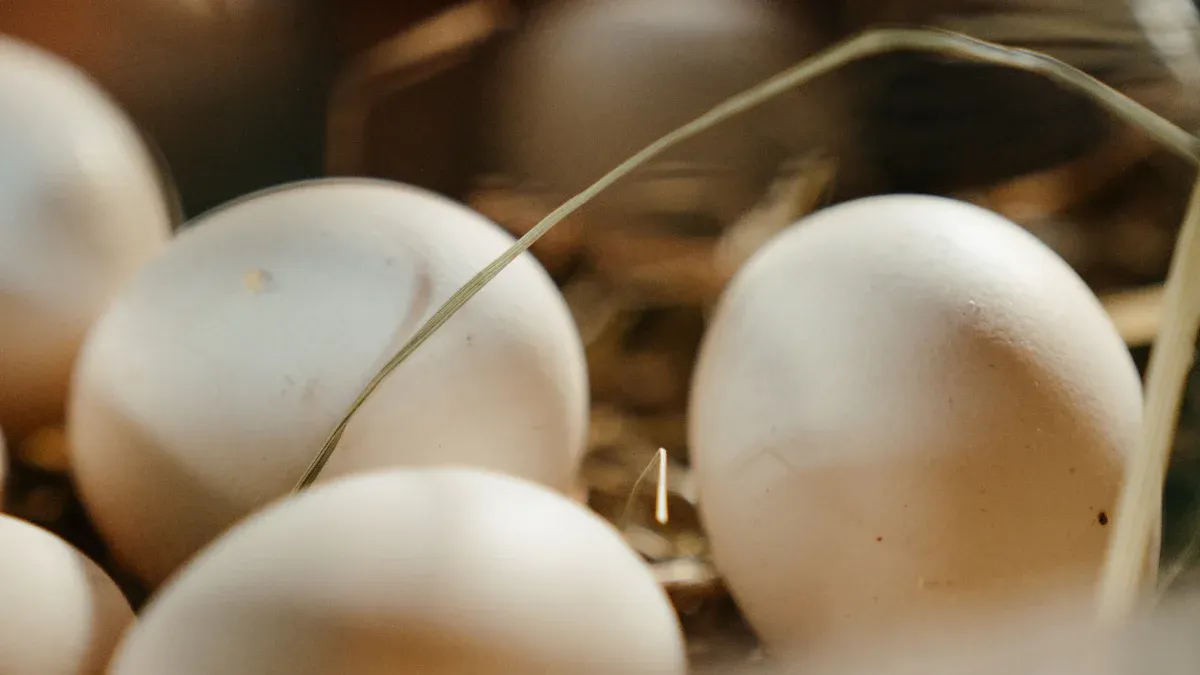 How Natural Dried Mealworms Enhance Egg Production