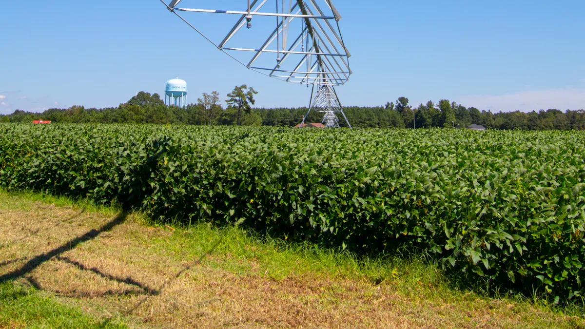 Beyond Labor: Maximizing Efficiency with Automated Irrigation Systems