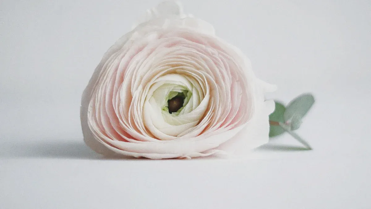 Superior Print Quality