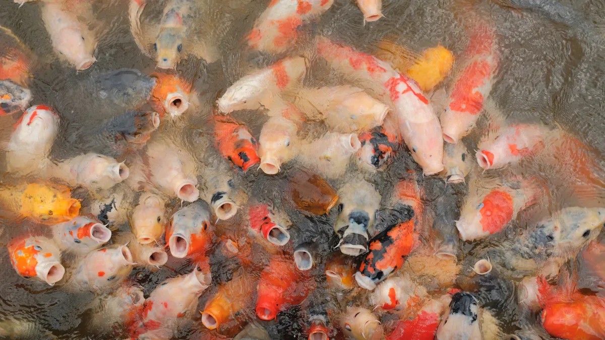Are dried mealworms for fish the best treat for ponds?