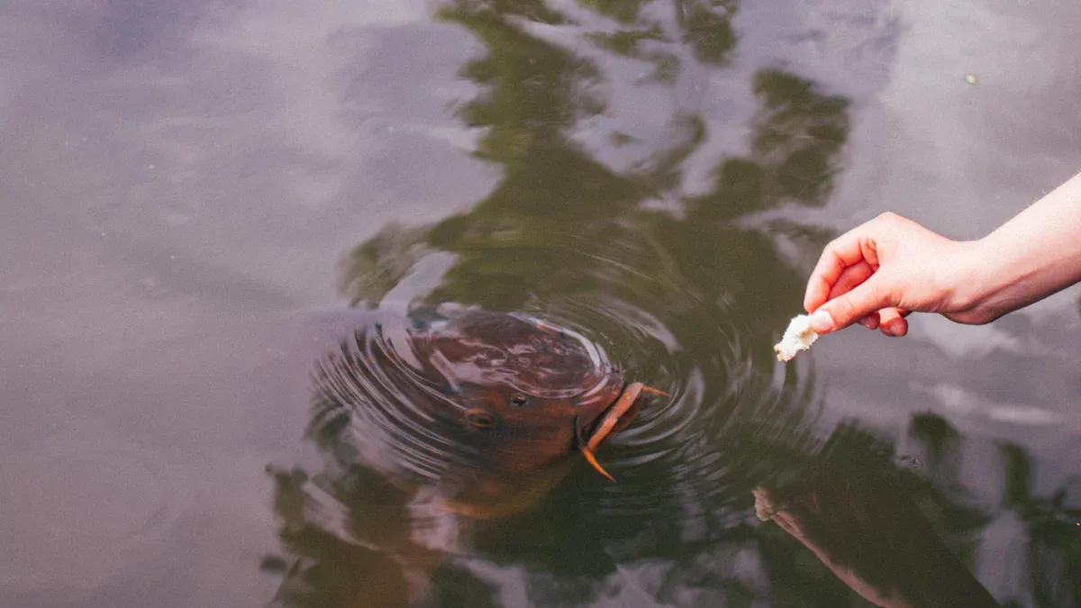 How to Safely Feed Dried Mealworms for Fish