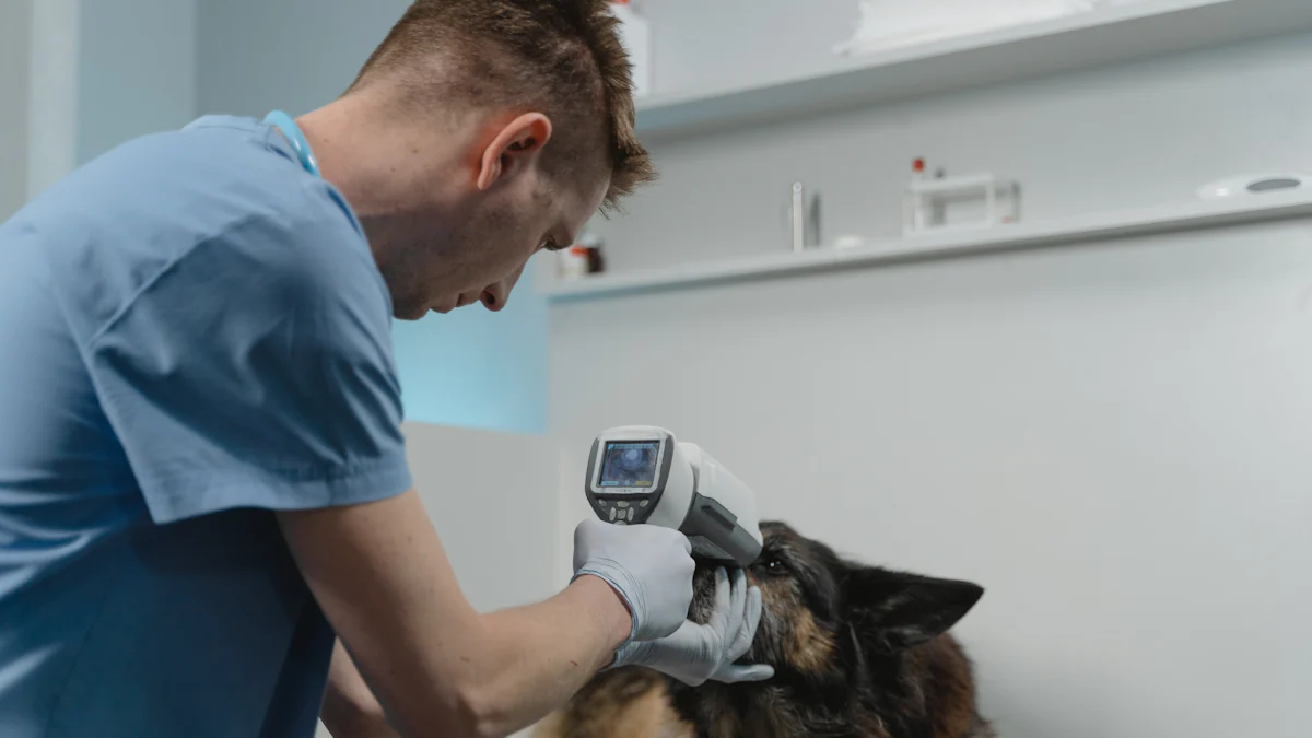 Applications in Veterinary Medicine