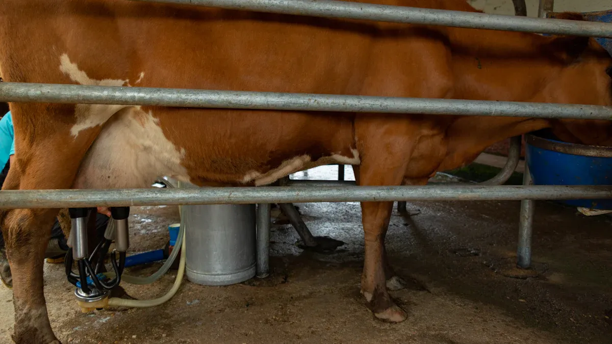 From Bovine to Swine: Versatile AI Equipment for Multiple Livestock Species