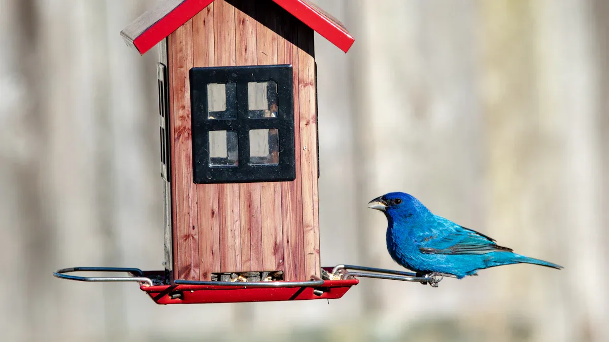 Choosing and Setting Up a Bluebird Feeder