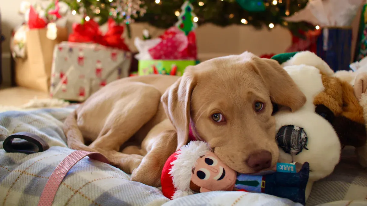 Emotional and Seasonal Appeal of Plush Dog Toys