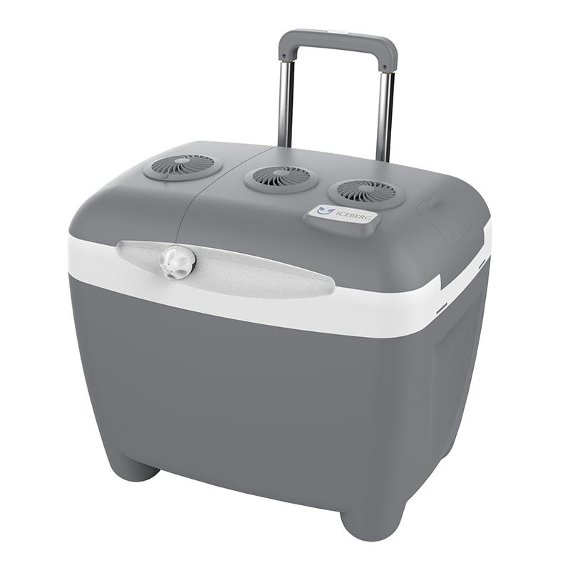 12V Car Fridge Electric Cool box for Camping vs. Traditional Coolers