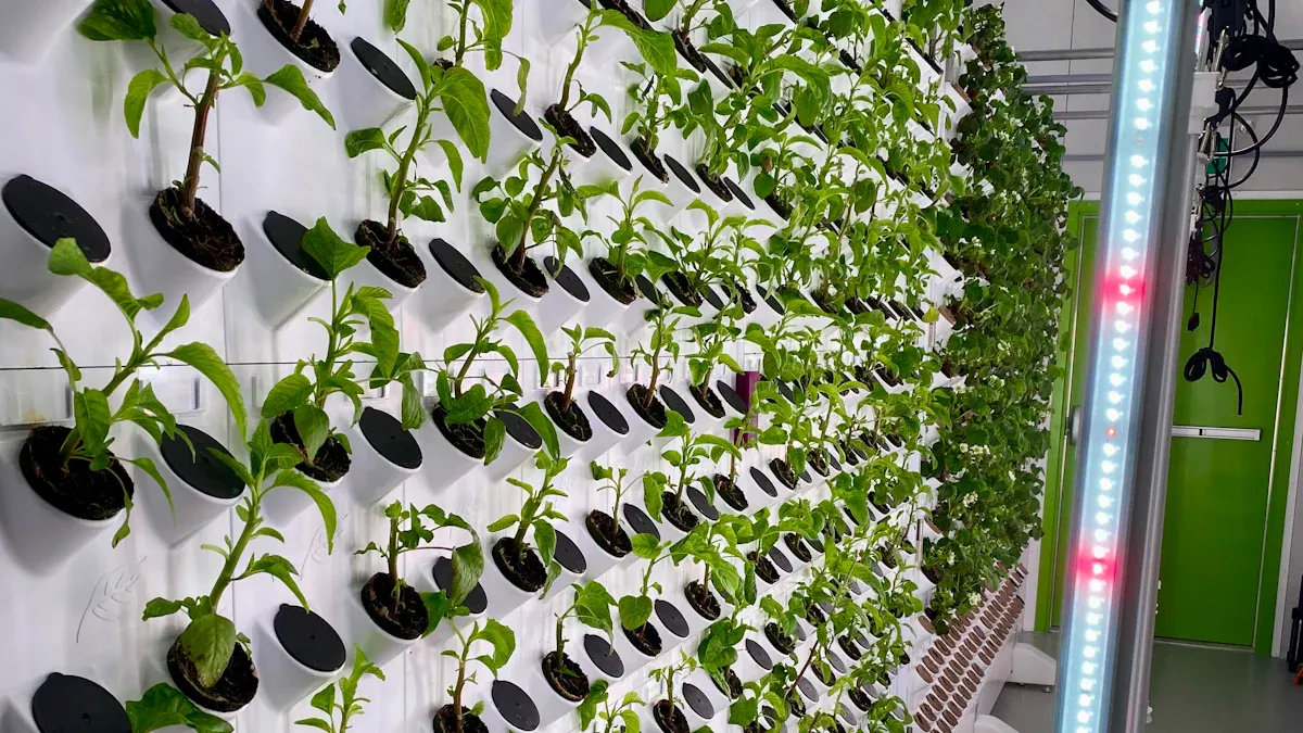 Role of Hydroponic Systems