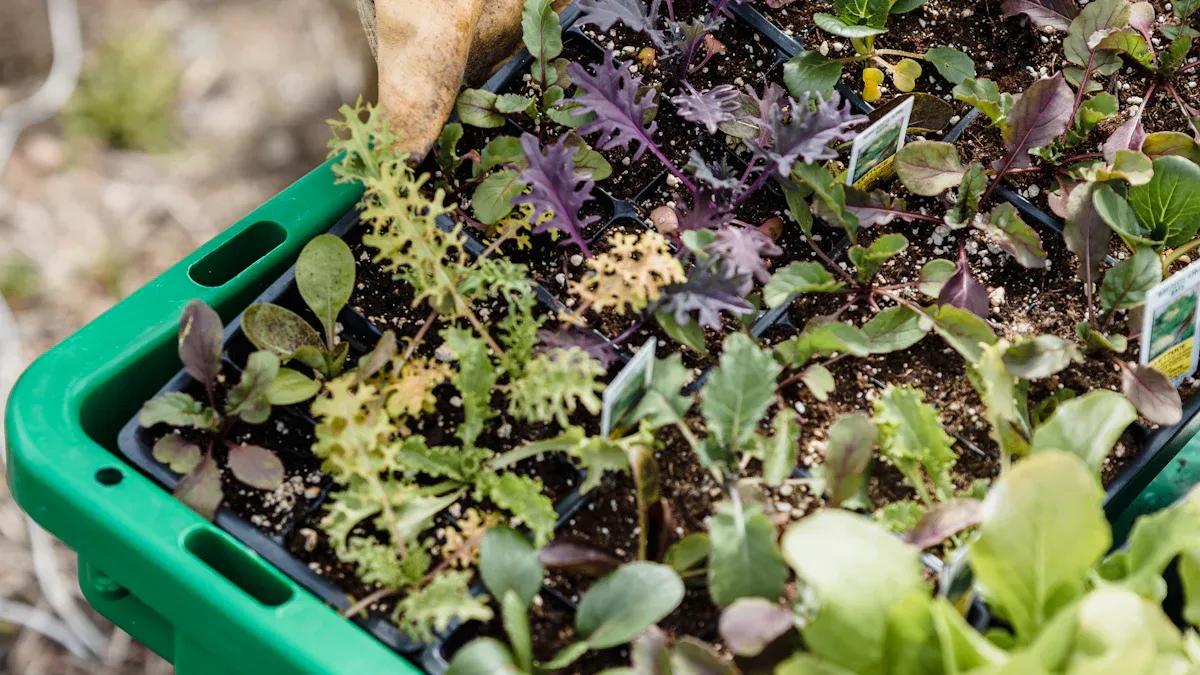 Step-by-Step Guide to Buying Garden Supplies Online