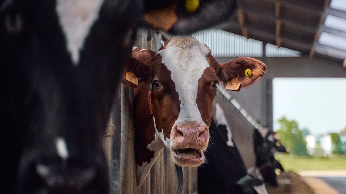 Top 10 High-Quality AI Guns for Cattle Breeding – Supplier Guide