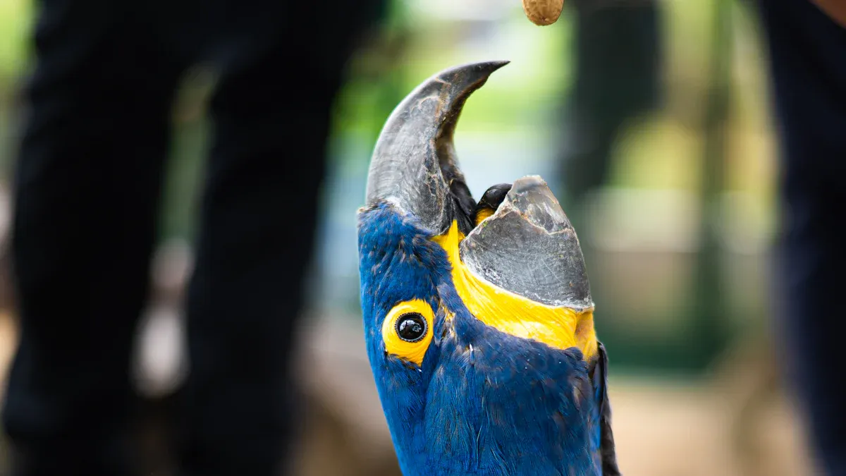 Why Parrots Eat Mealworms in Nature