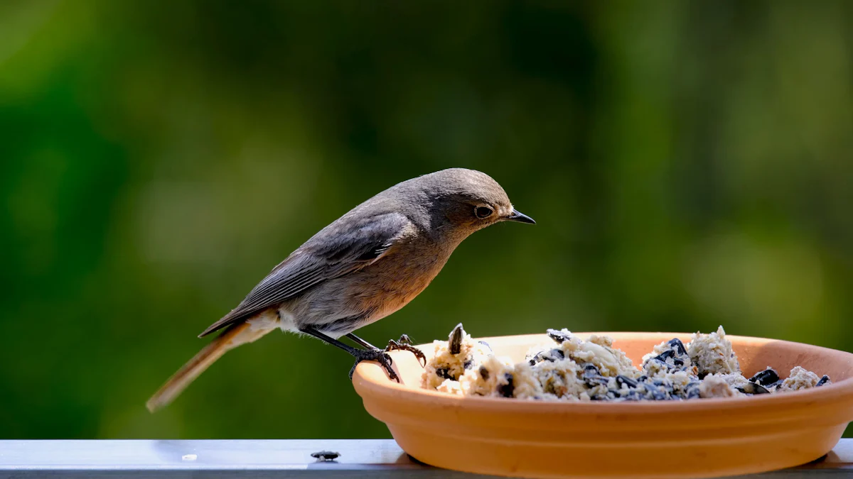 The Environmental Benefits of Dried Mealworms for Birds in 2025