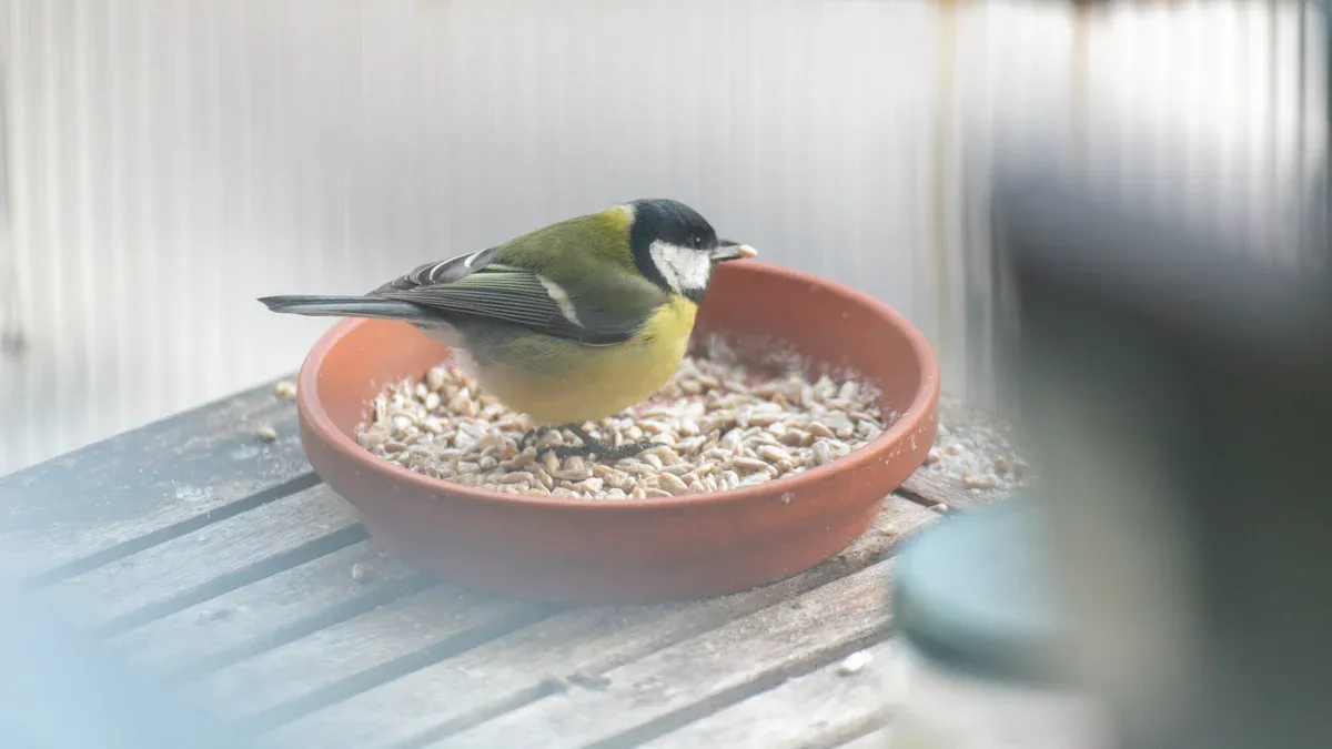 Why Your Backyard Birds Thrive on Dried Mealworms