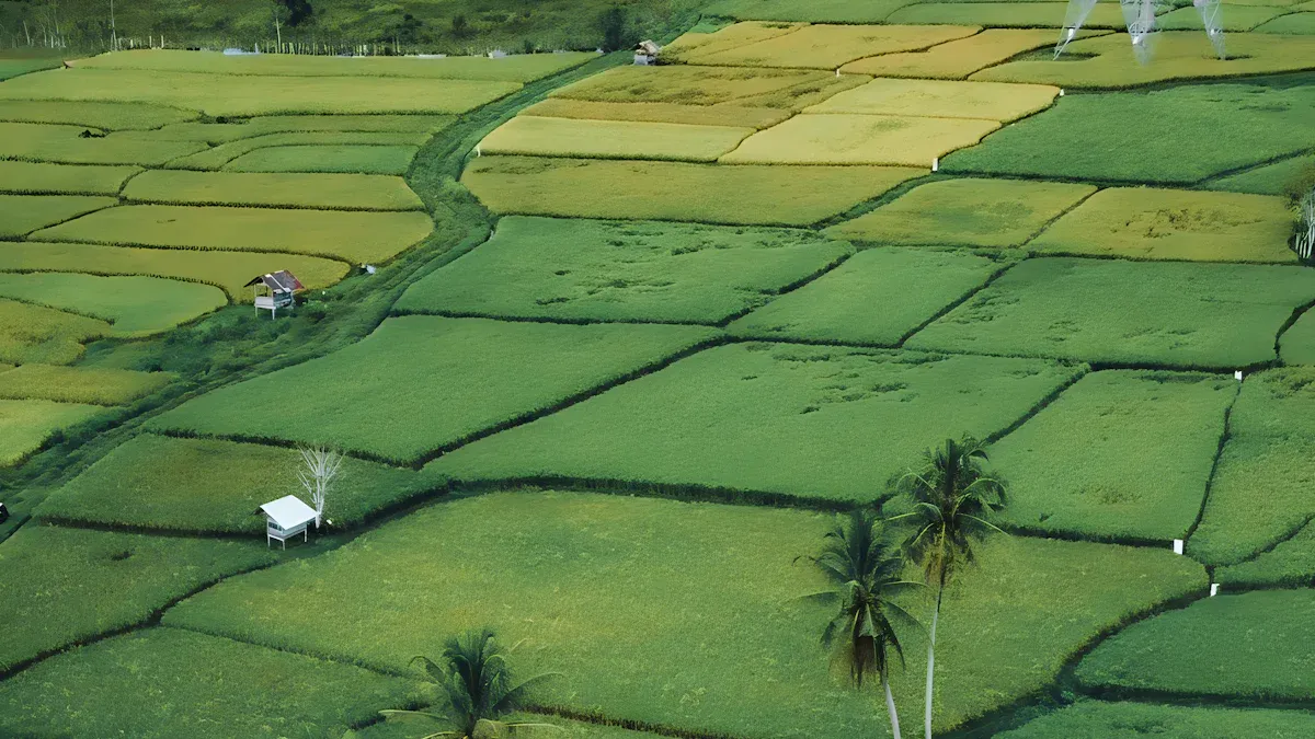 Importance of Remote Outlet Control