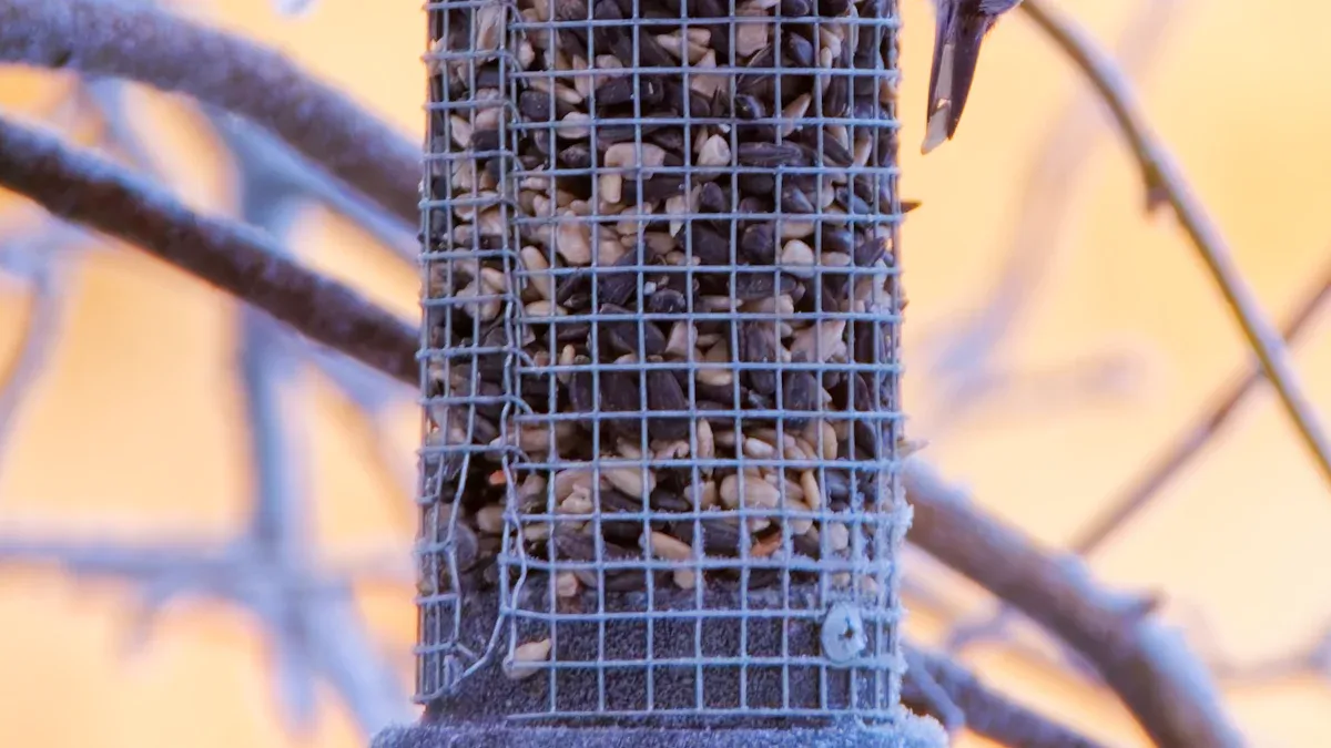 Birds That Benefit from Dried Mealworms Wild Bird Food