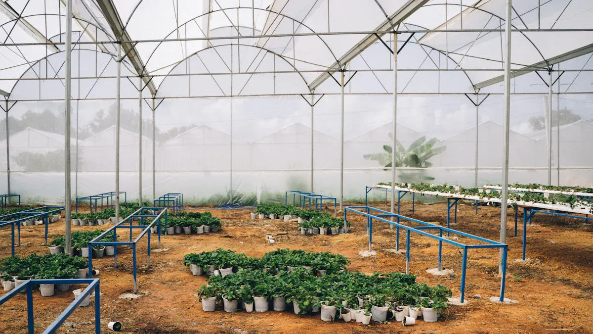 根据当地气候和植物需求选择合适的温室遮阳网