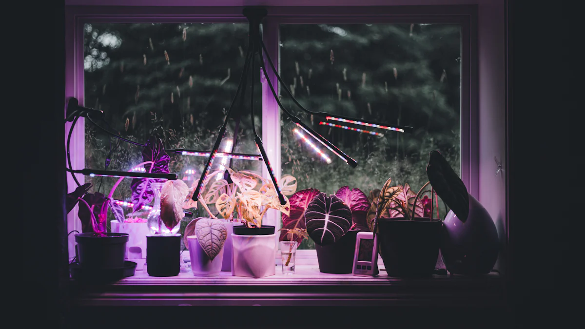 LED植物生长灯的设置和使用实用技巧