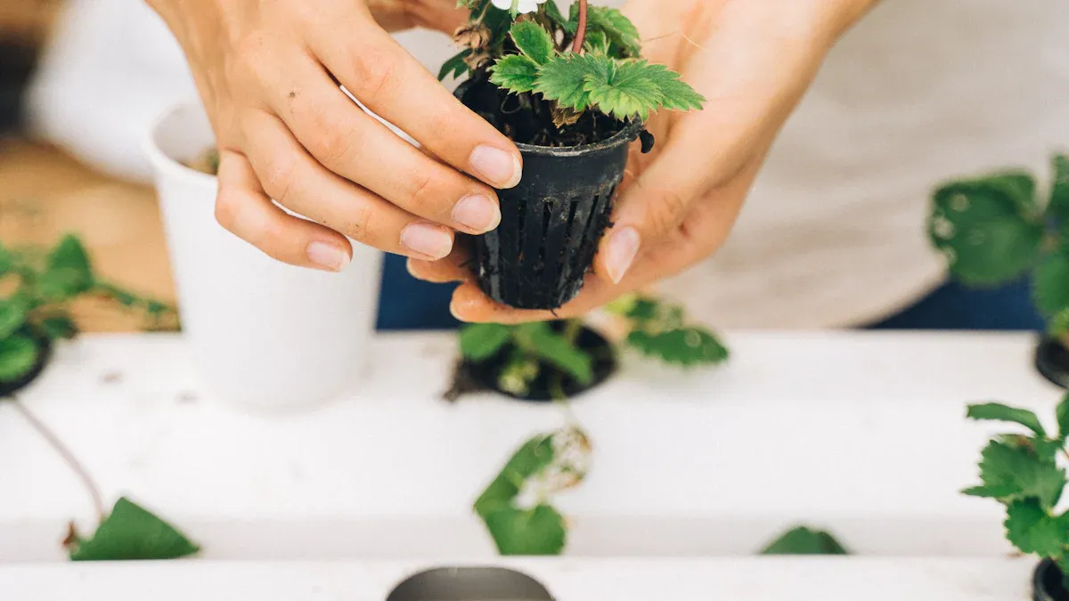 Your First Hydroponic Kit A Complete Buying Guide for 2026