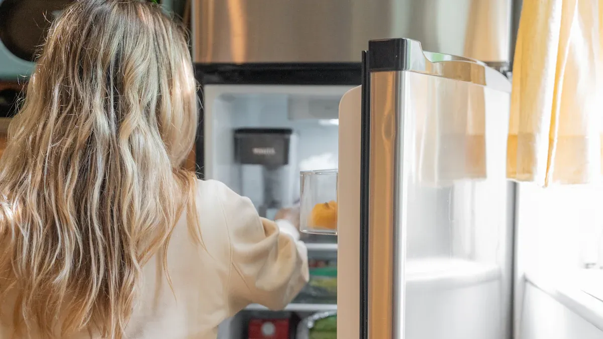 How does a compressor refrigerator freezer car refrigerator operate in 2025