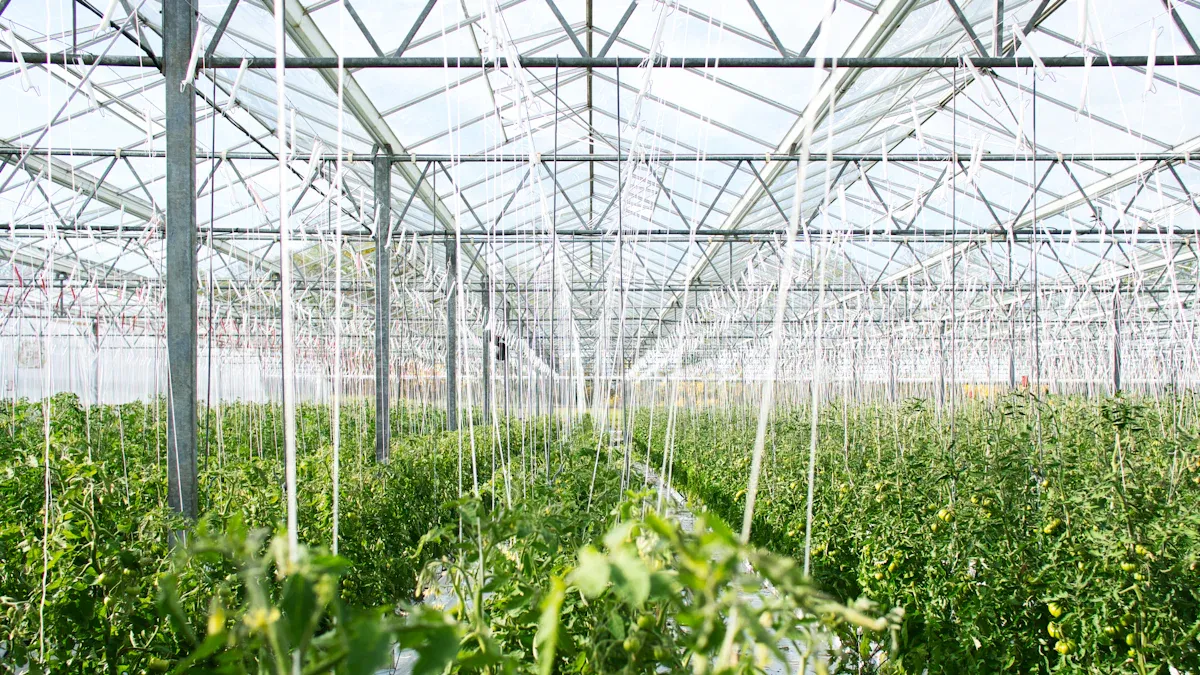 Tipos de sistemas hidropónicos comerciales