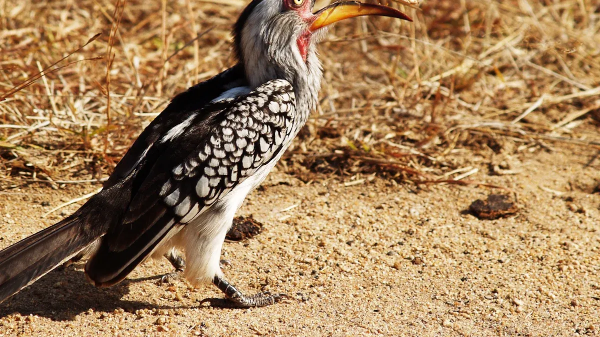 Bird Wellness Benefits of Mealworms