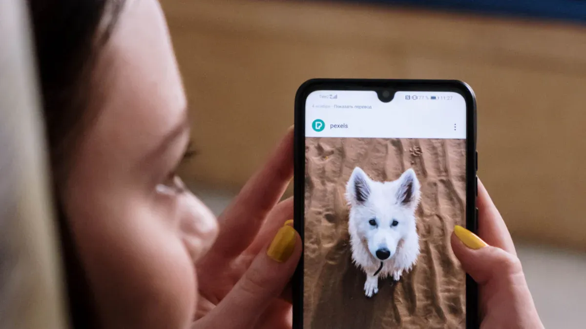 Reducing Stress: Designing AI Equipment for Animal Welfare
