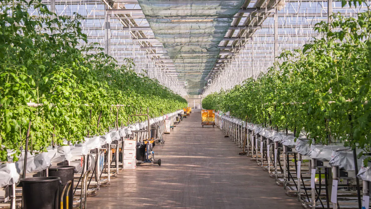 Complete Guide to Greenhouse Cover Materials: How to Maximize Energy Efficiency and Crop Yield