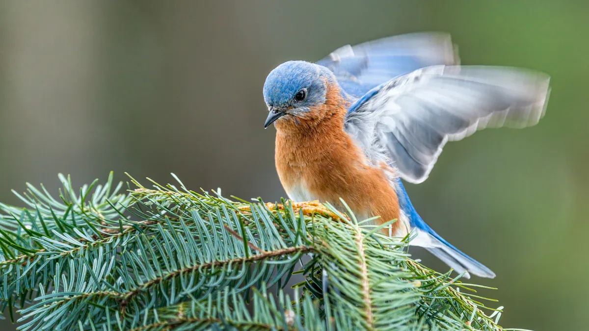 Are Freeze-Dried Mealworms a Healthy Choice for Birds