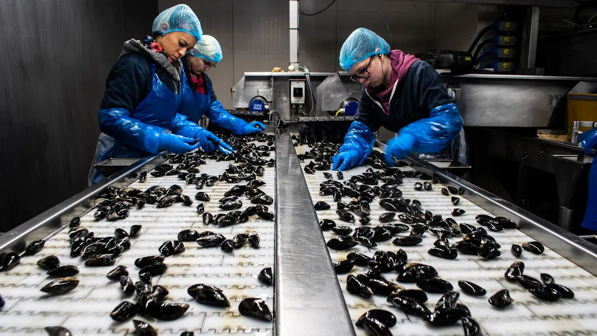 Ensuring Reliability in Food Processing: Hygienic Design and IP69K Solenoid Valve Coils