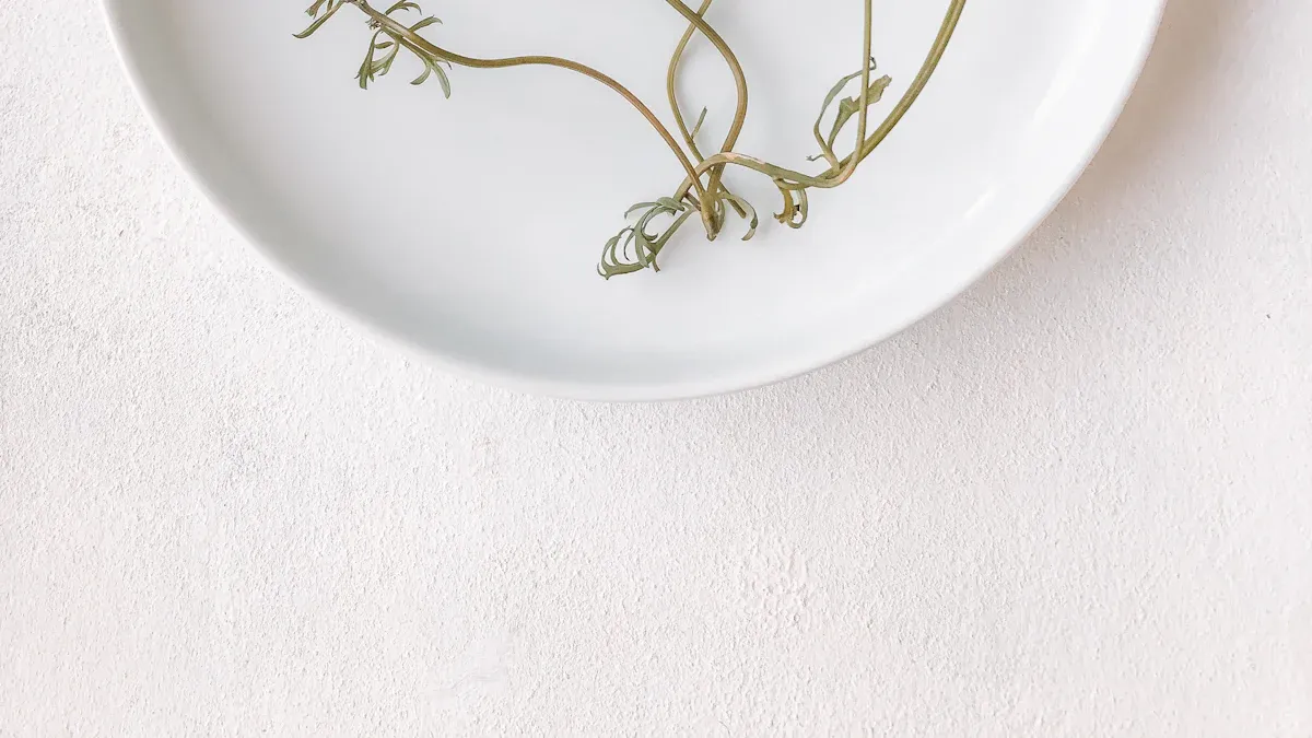 Applications of Powder Pressing Ceramics