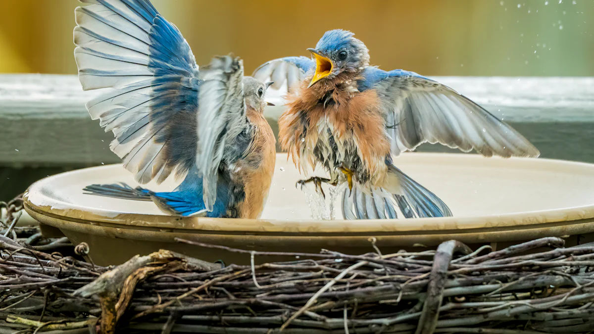 How to Serve Dried Mealworms for Birds