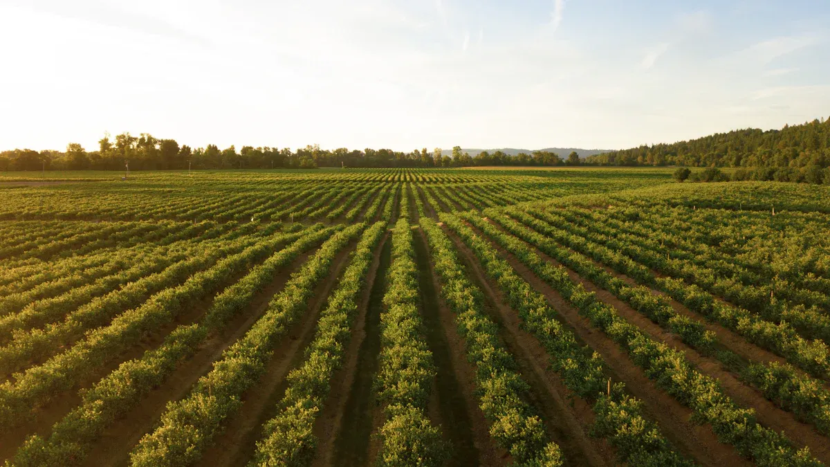 Why Organic Farms Are Turning to Mealworm Supplements