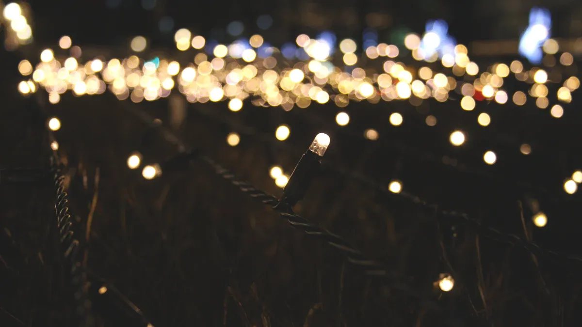 Top 10 Wholesale Suppliers of Energy-Efficient Fairy Lights for Commercial Use