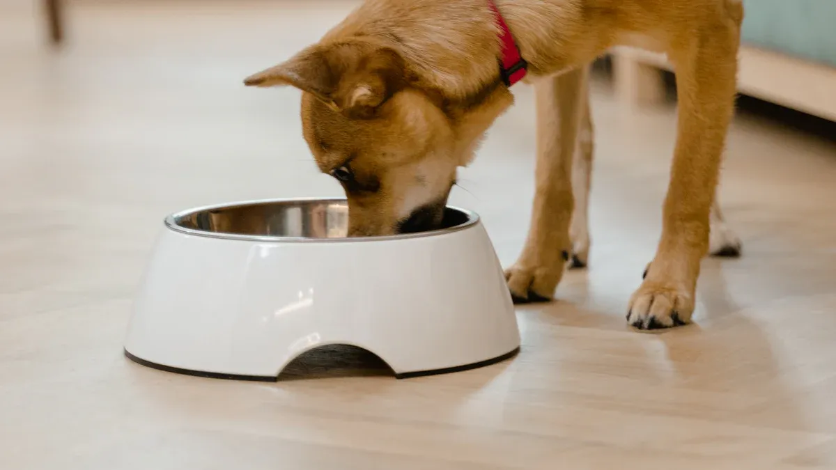 Elevated Dog Food And Water Bowl