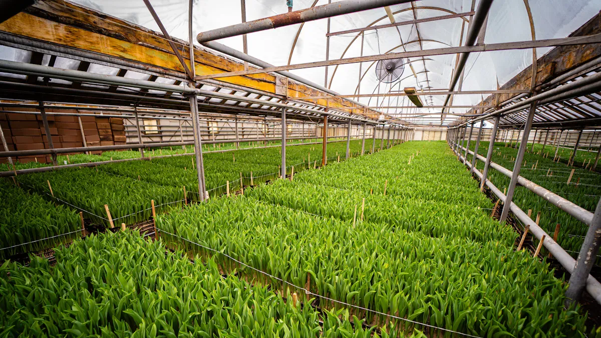 Understanding Multi-Span Greenhouses