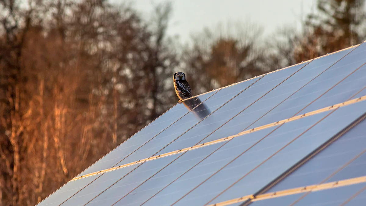 Top Solar Bug Zappers for 2025