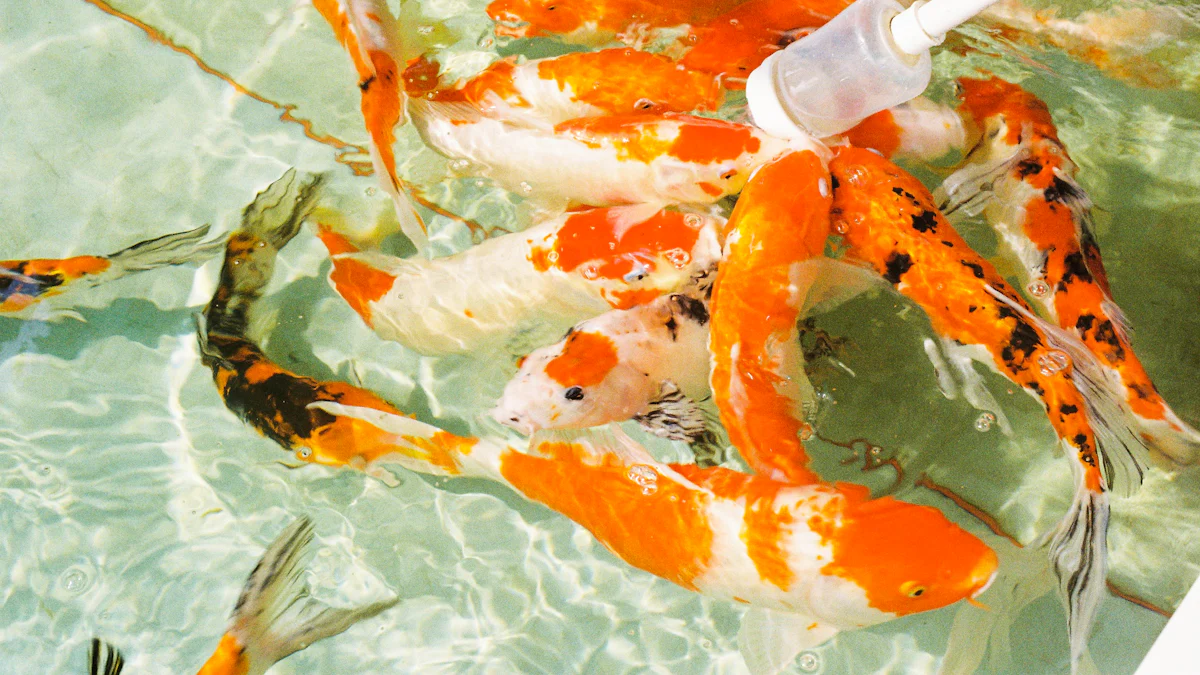 Nutritional Benefits of Dried Mealworms for Fish