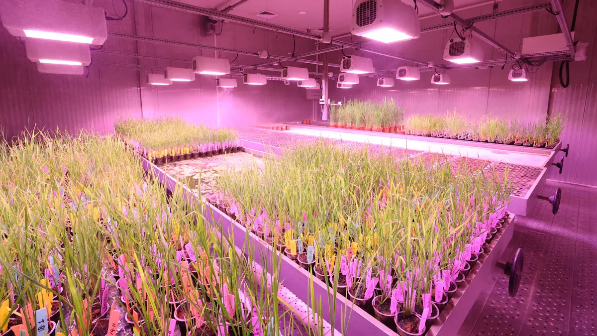 Principles of Hydroponic Systems