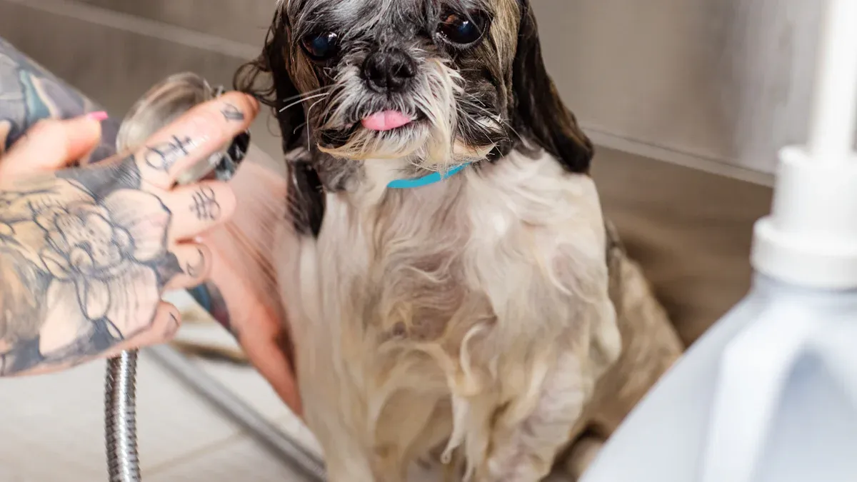 আপোনাৰ হেণ্ড শ্বাৱাৰৰ বাবে বহুমুখী ব্যৱহাৰ