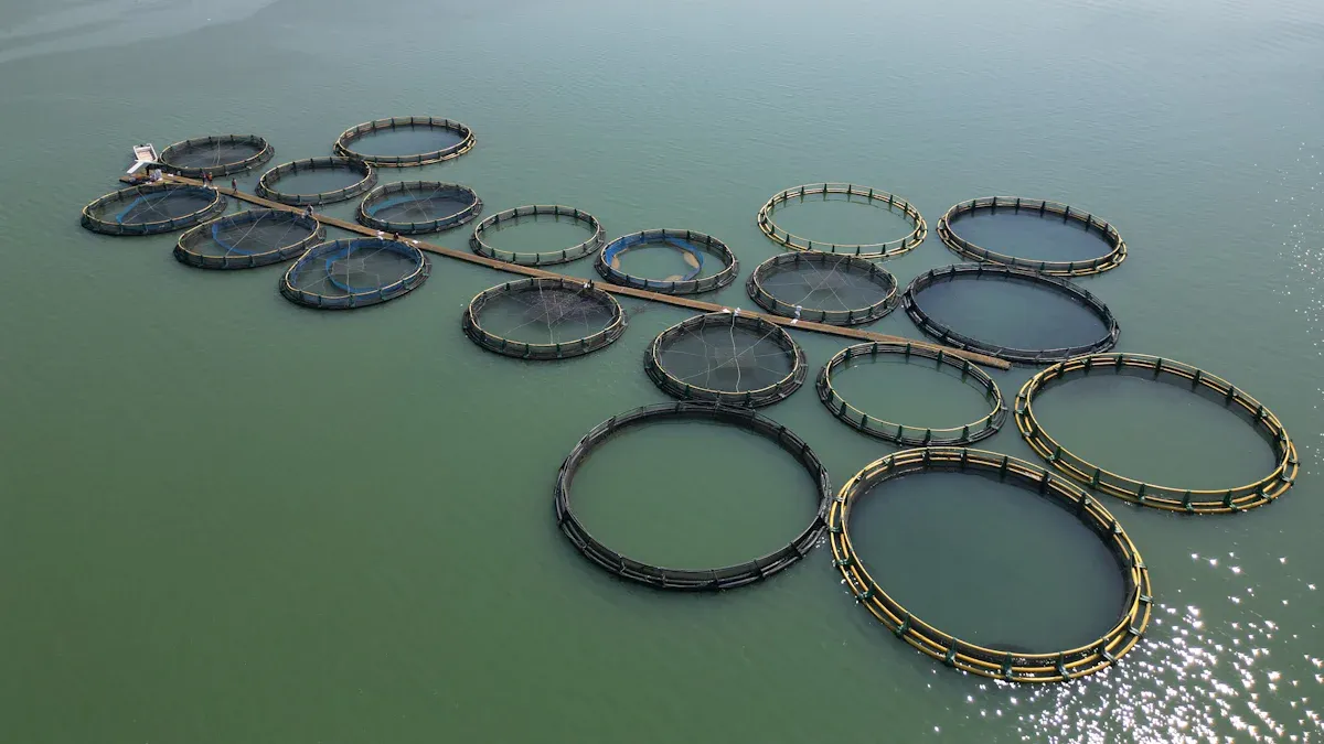 Dried Mealworms for Aquaculture: Nutritional and Economic Benefits