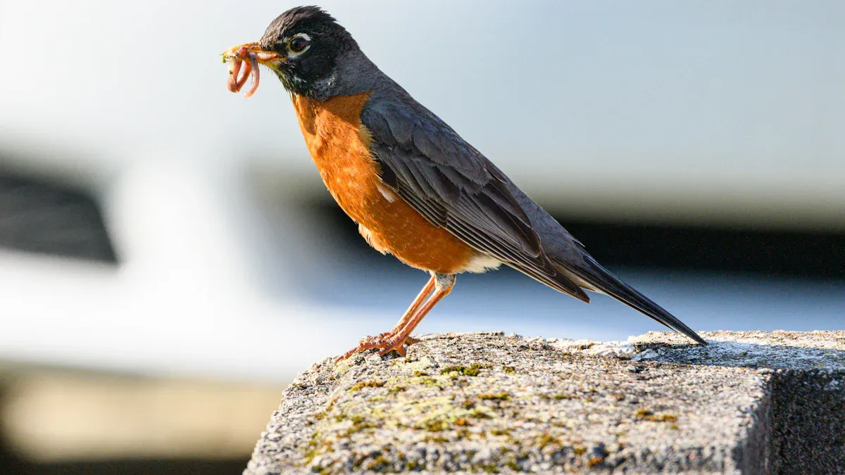 Is Feeding Dried Mealworms in Bulk Good for Birds