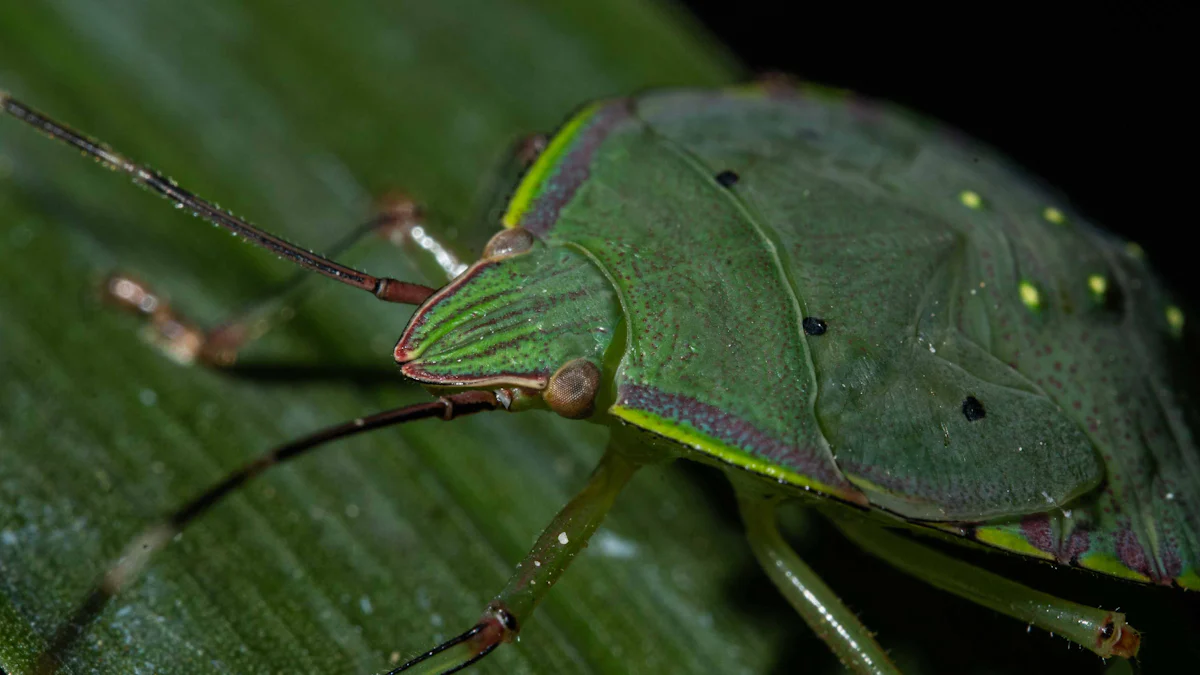 Do solar powered bug zappers work?