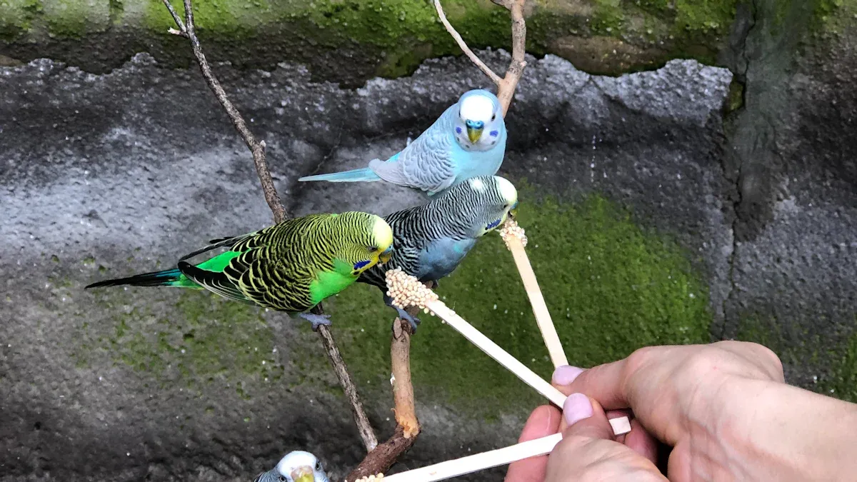 How to Feed Dried Mealworms to Parrot