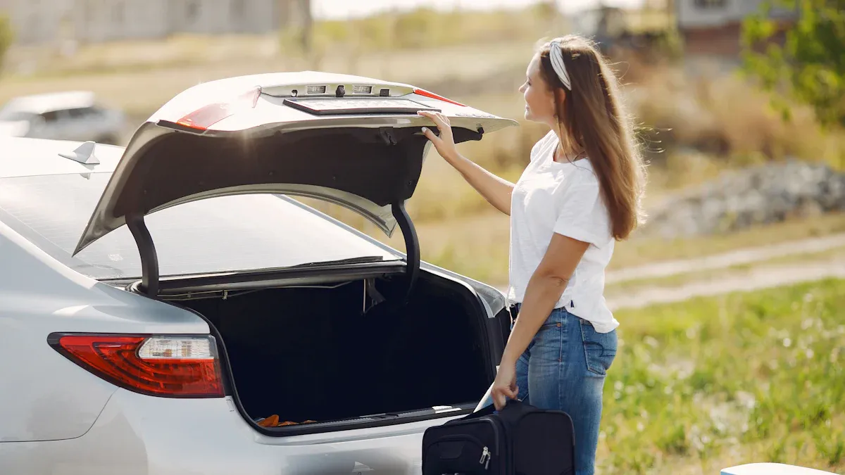 Placement and Environment for Car Freezers