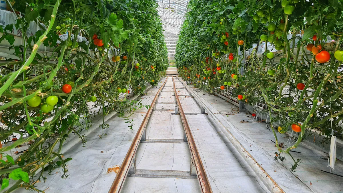 How Multi-Span Greenhouses with Insulation Quilts Achieve All-Weather Stability from -20°C to 45°C