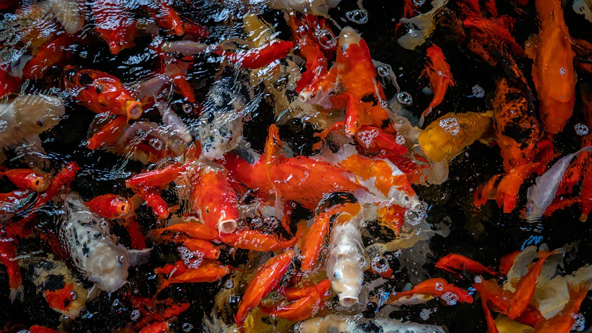 How to Incorporate Dried Mealworms for Fish