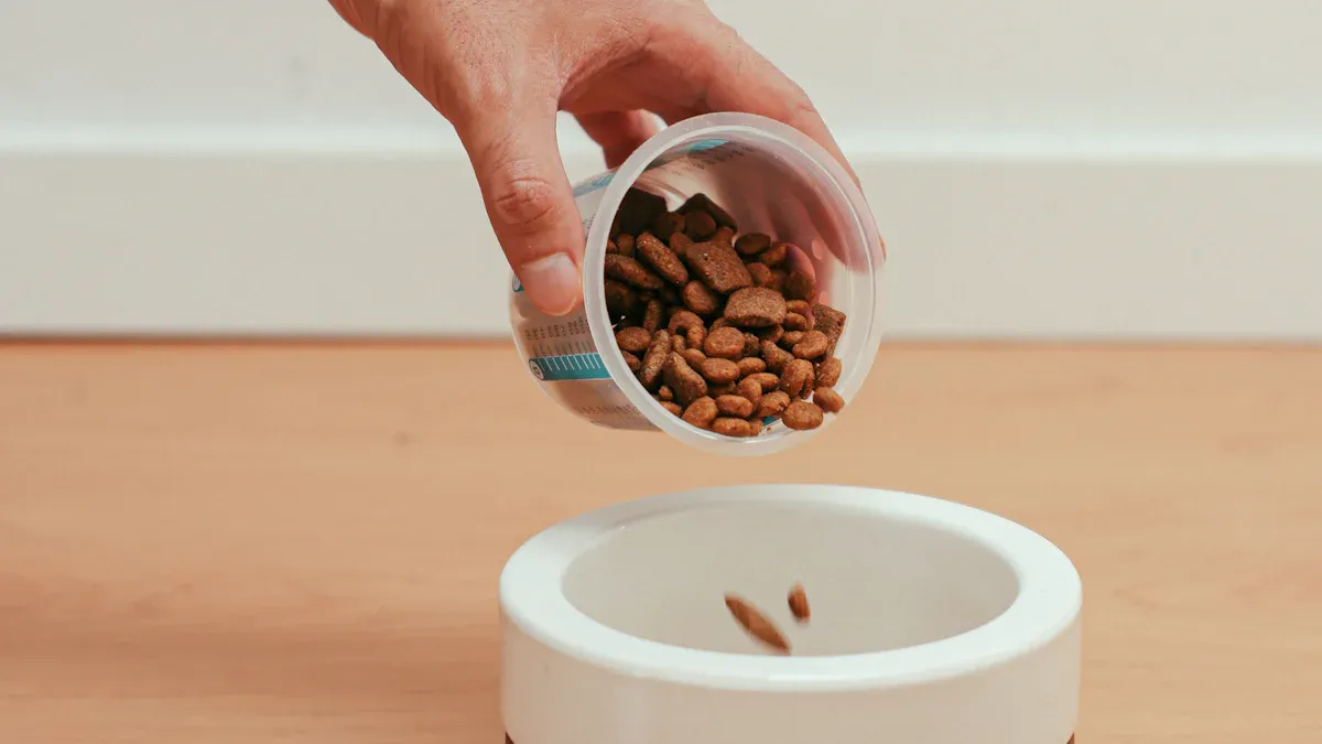 Common Problems with Pet Feeders