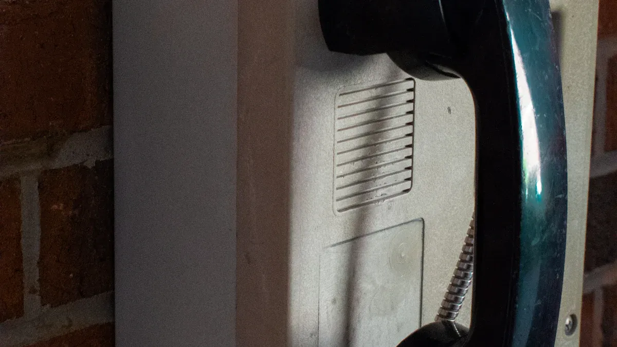 Available Customization Options for Weatherproof Emergency Phones